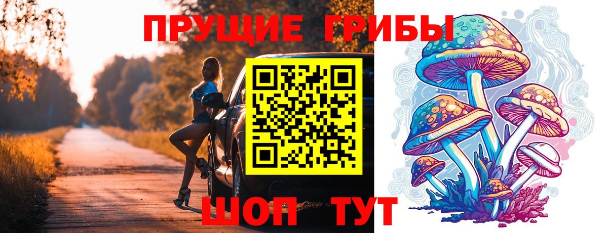 Псилоцибиновые грибы Psilocybine cubensis  где можно купить   Нижнеудинск  Вход с VPN  Галлюциногенные грибы Magic Shrooms 